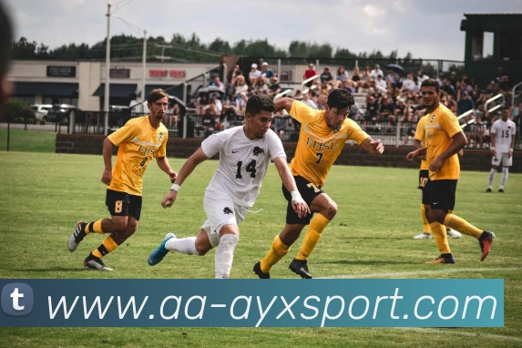 爱游戏体育品牌故事